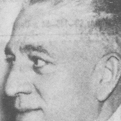 Portrait of Richard Bevan Austin