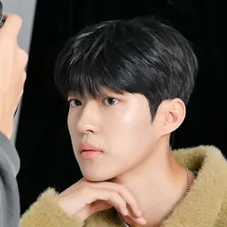 Portrait of Baek Sung-chul
