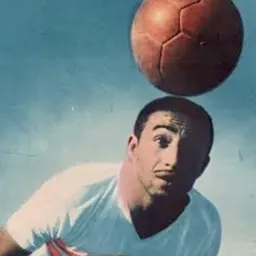 Portrait of Hamada Emam