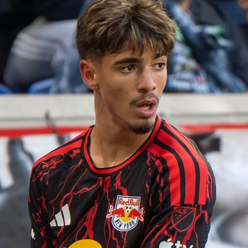 Portrait of Matthew Dos Santos