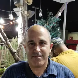 Portrait of Aryeh King