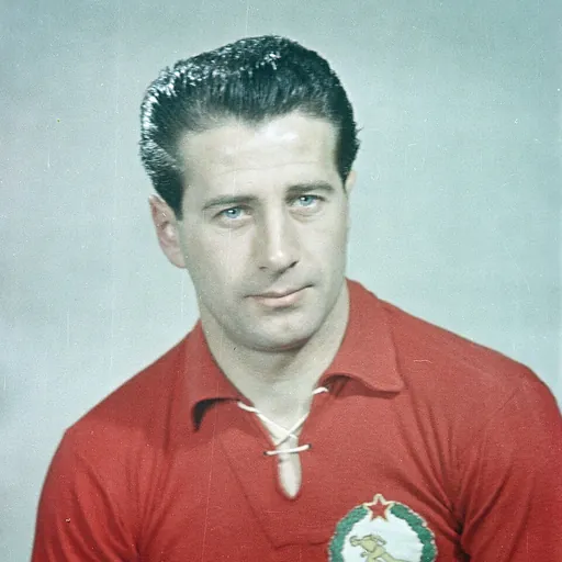 Portrait of József Bozsik