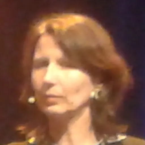 Portrait of Ana Sokolovic