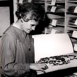 Portrait of Rebeca Acevedo