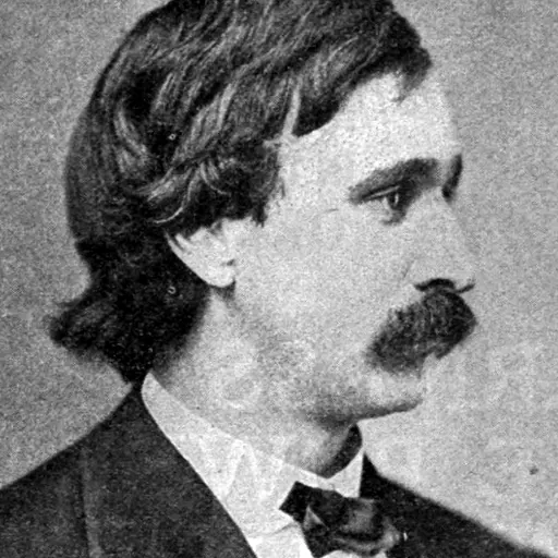 Portrait of William Henry Harrison Murray