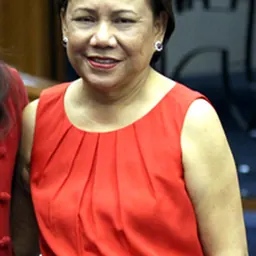 Portrait of Cynthia Villar