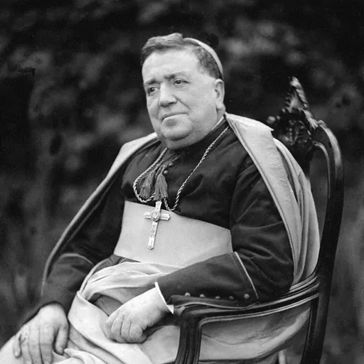 Portrait of José Alves Correia da Silva
