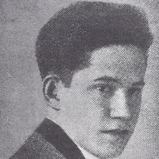 Portrait of Branimir Ćosić
