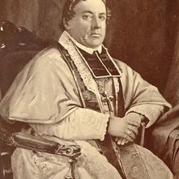 Portrait of Joseph Norbert Provencher