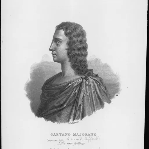 Portrait of Caffarelli