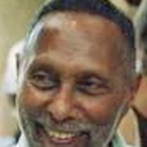 Portrait of Stuart Hall