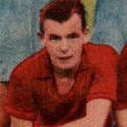 Portrait of Sven-Ove Svensson