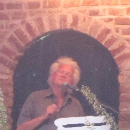 Portrait of Frans van Dixhoorn