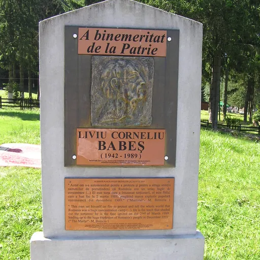 Portrait of Liviu Cornel Babeș