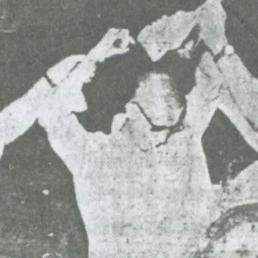 Portrait of Daeng Biley