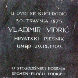 Portrait of Vladimir Vidrić