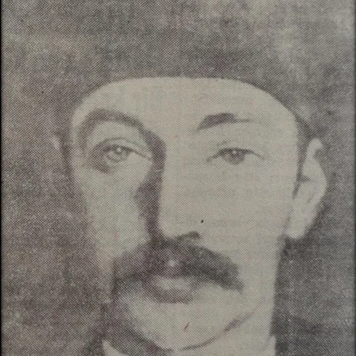 Portrait of Şehzade Selim Süleyman