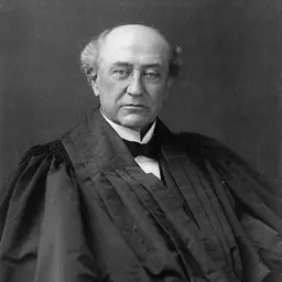 Portrait of David Josiah Brewer