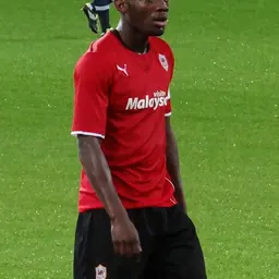 Portrait of Deji Oshilaja