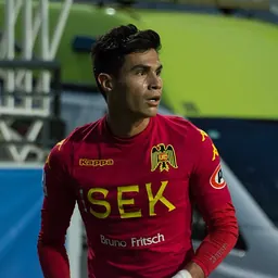 Portrait of Pablo Galdames Millán