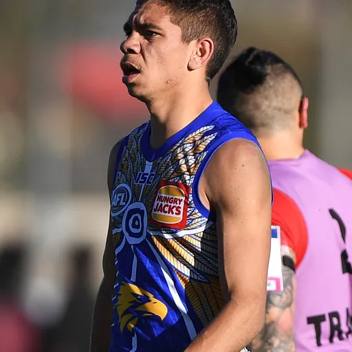 Portrait of Jarrod Cameron
