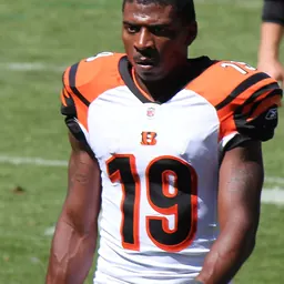 Portrait of Brandon Tate