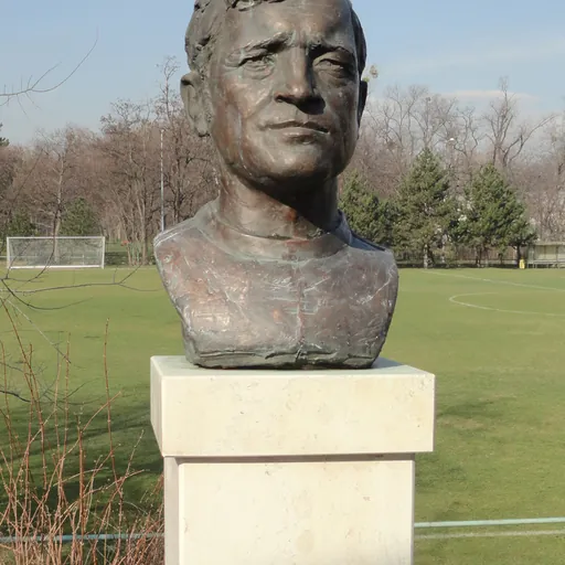 Portrait of Dezső Novák