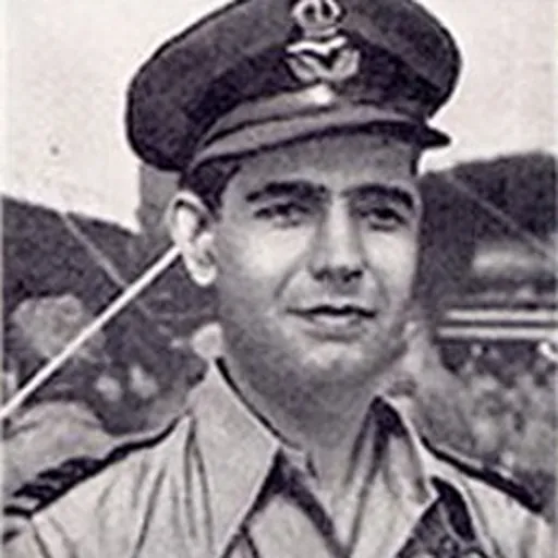 Portrait of Aspy Engineer