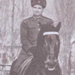Portrait of Virgil Bărbuceanu