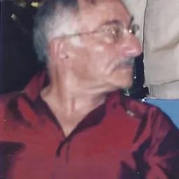 Portrait of Menachem Amir
