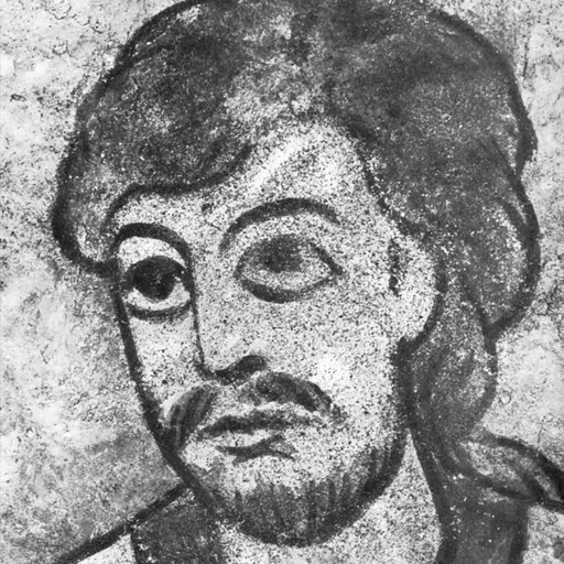 Portrait of Oldřich, Duke of Bohemia