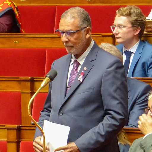 Portrait of Frantz Gumbs