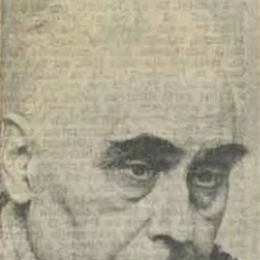 Portrait of Radu Câmpeanu