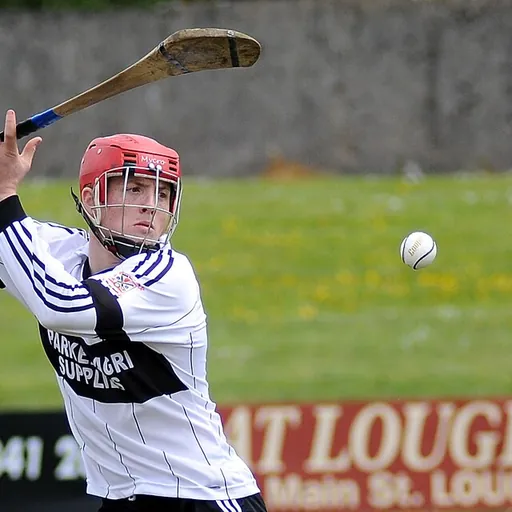 Portrait of Fearghal Flannery