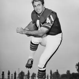 Portrait of Brian Piccolo
