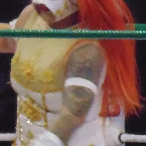 Portrait of Lady Flammer