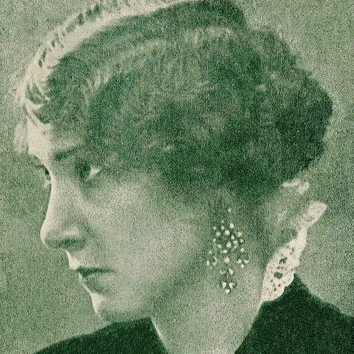 Portrait of Brita von Horn