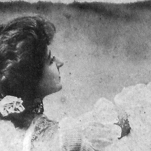 Portrait of Eugenia Osterberger