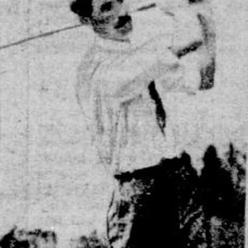 Portrait of Stewart Gardner