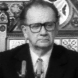 Portrait of György Szabad