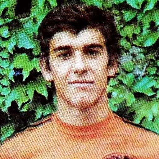 Portrait of Gilles Brisson