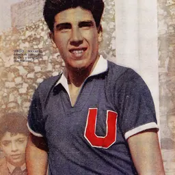 Portrait of Sergio Navarro
