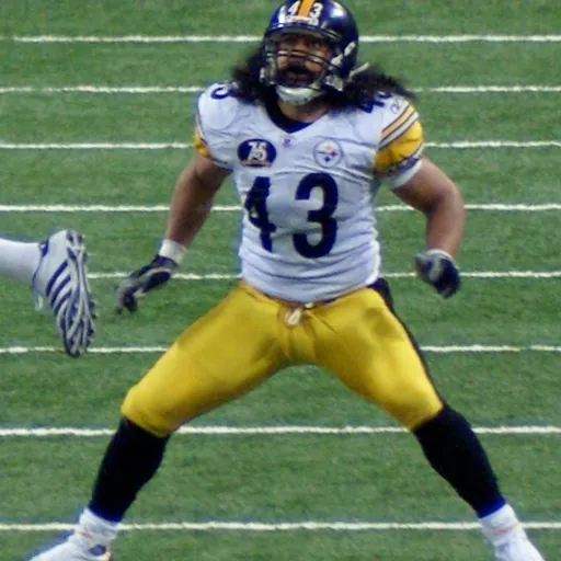 Portrait of Troy Polamalu