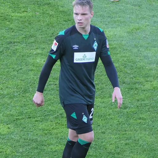 Portrait of Niklas Schmidt