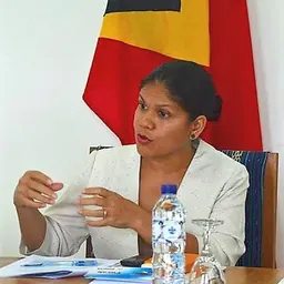Portrait of Isabel da Costa Ferreira