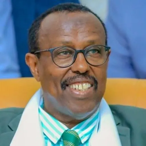 Portrait of Abdulkadir Iman Warsame
