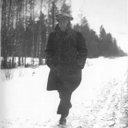 Portrait of Arkady Shaikhet