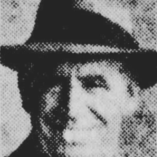 Portrait of William Johnson