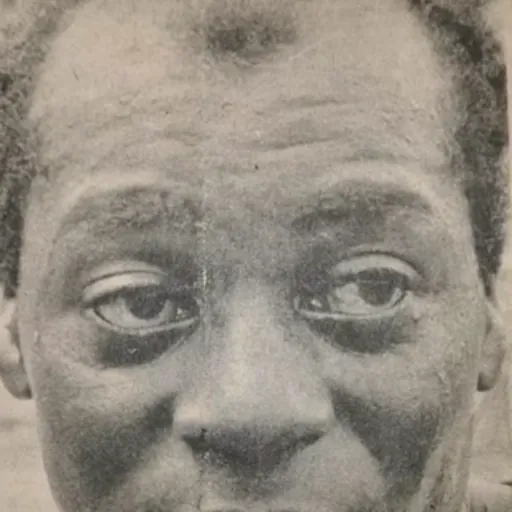 Portrait of David Stokes