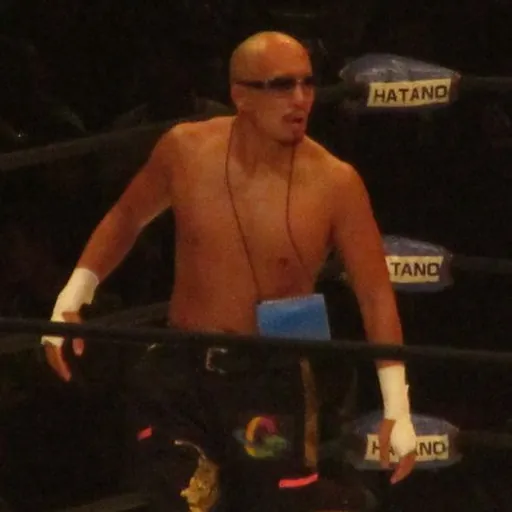 Portrait of Punch Tominaga